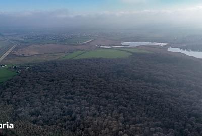Teren de 16900 mp, în Grădiștea - 2