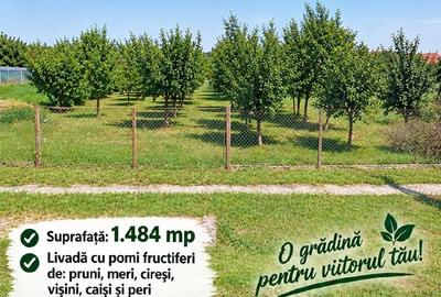 Teren de 1484 mp, în Țipar