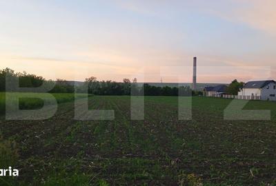 Teren de 500 mp, în Central