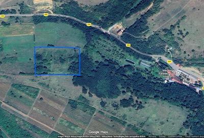 Teren intravilan de 15100 mp, în Șiria