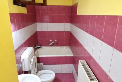 Apartament cu 2 camere semidecomandat, mobilat în Bucovina - 6
