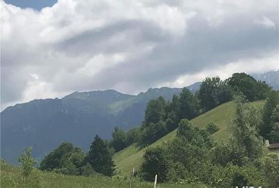 Teren de 10000 mp, în Bran - 4