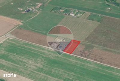 Teren de 1000 mp, în Pănicel
