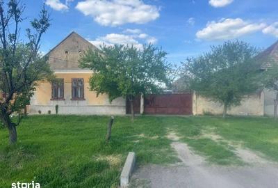 Casă cu 4 camere cu Teren 1536 Mp în Variaș - 2