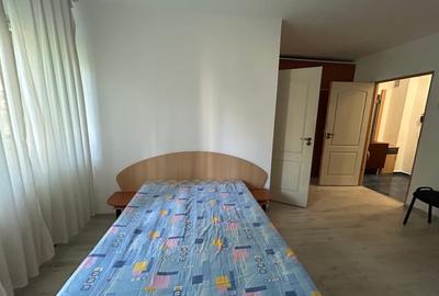 Apartament cu 2 camere semidecomandat, mobilat în Gorjului - 7
