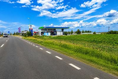 Teren Construcții intravilan de 7580 mp, în Albota - 1