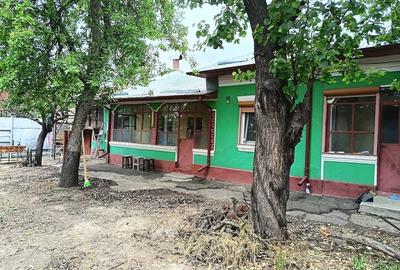 Casă cu Teren 1600 Mp în Vedea