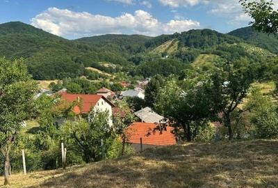 Teren de 6200 mp, în Tăuții-Măgherăuș
