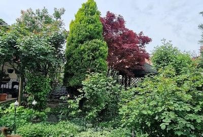 Casă cu 5 camere cu Teren 553 Mp în Bălcescu - 5