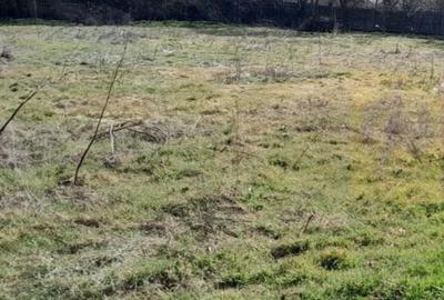 Teren de 2000 mp, în Chiroiu-Pământeni - 6