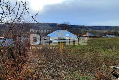 Casă cu 2 camere cu Teren 1628 Mp în Dănești