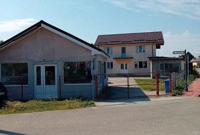 Casă cu 6 camere cu Teren 565 Mp în Ișalnița - 1