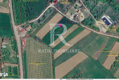 Teren de 1770 mp, în Tileagd