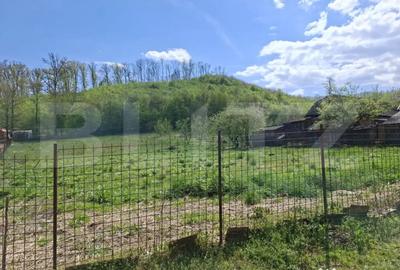 Casă cu 2 camere cu Teren 7300 Mp în Central