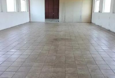 Spațiu comercial, de 1,446 mp, în Filiași - 8