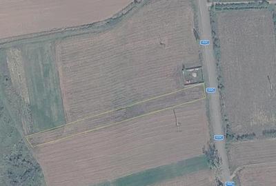 Teren de 2472 mp, în Plavia - 5