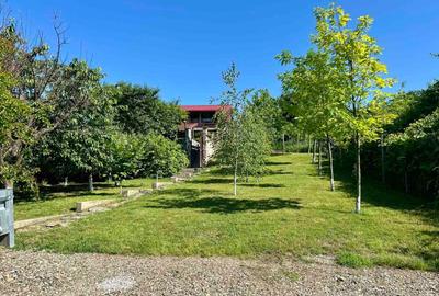 Casă individuală cu 5 camere cu Teren 1500 Mp în Bucium - 6