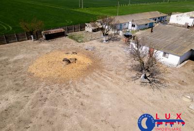 Teren agricol intravilan de 11532 mp, în Mihail Kogălniceanu - 6