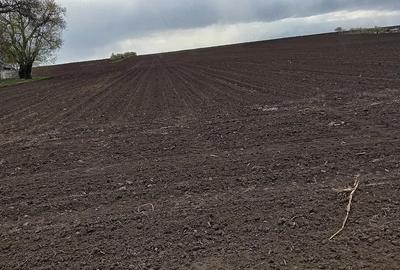 Teren de 78000 mp, în Frumoasa - 2