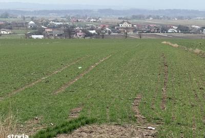 Teren de 3255 mp, în Grănicești - 5
