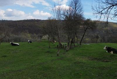 Spațiu comercial, în Boboci - 3
