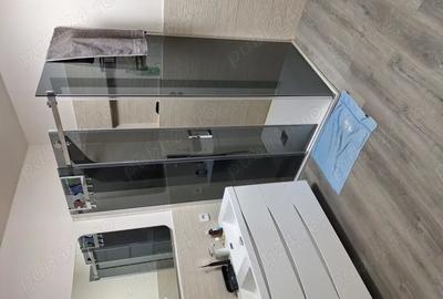 Apartament cu 2 camere decomandat în Turnișor