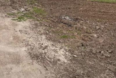 Teren de 1437 mp, în Berceni