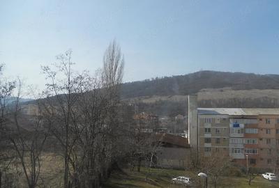 Teren de 500 mp, în Dărmănești - 1