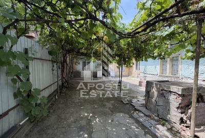 Casă individuală cu 5 camere cu Teren 225 Mp în Fratelia - 11