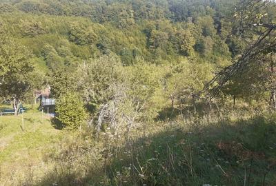 Teren de 6470 mp, în Nădrag - 5