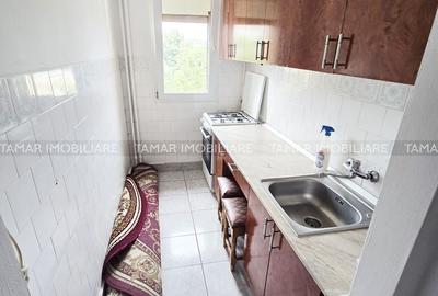 Apartament cu 2 camere în Șega - 3
