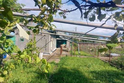 Casă cu 4 camere în Movila - 6