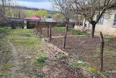 Casă cu 5 camere cu Teren 2400 Mp în Gogoșari