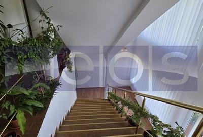 Casă cu 7 camere cu Teren 320 Mp în Pantelimon - 2