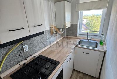 Apartament cu 2 camere în Valea Borcutului - 12