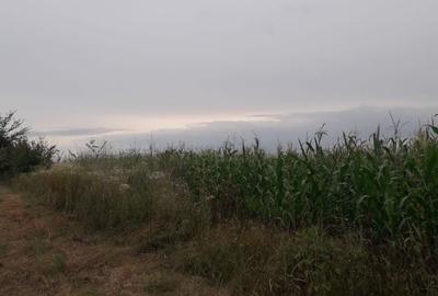 Teren de 3600 mp, în Dancaș