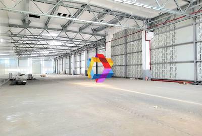 Spațiu industrial, de 2,376 mp, în Astra