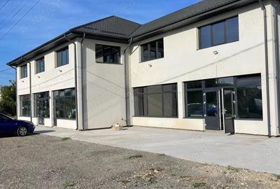 Spațiu comercial, de 300 mp, în Osica de Sus - 1