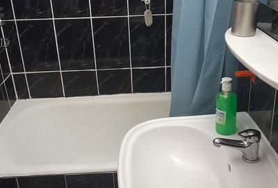 Apartament cu 2 camere decomandat în Ostroveni - 5