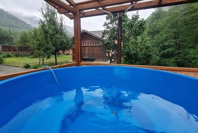 Casă cu 8 camere cu Teren 1000 Mp în Sadu - 17