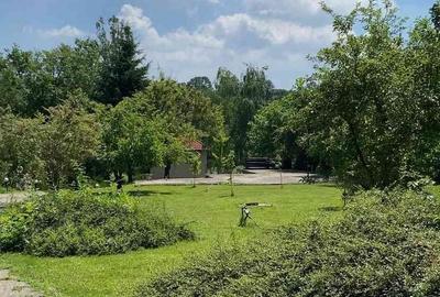 Casă cu 6 camere cu Teren 4000 Mp în Ciolpani - 8