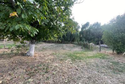 Casă cu 3 camere cu Teren 2100 Mp în Teișori