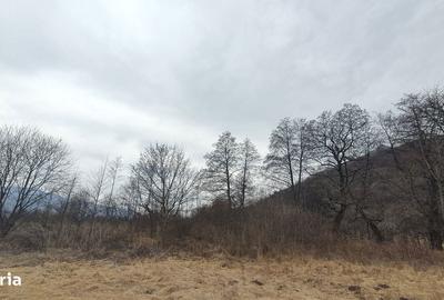 Teren de 2800 mp, în Sovata - 7