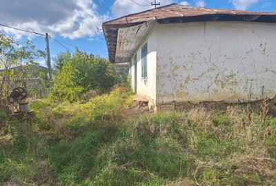 Teren agricol intravilan de 1000 mp, în Proselnici - 7