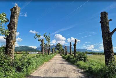 Teren de 7500 mp, în Bran