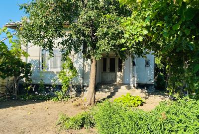 Casă individuală cu 5 camere cu Teren 1680 Mp în Vișina
