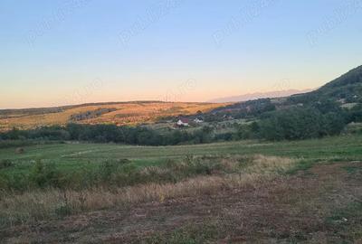 Teren de 1800 mp, în Poplaca - 2