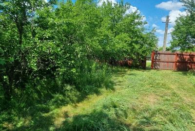 Casă cu 3 camere în Făgețelu - 4