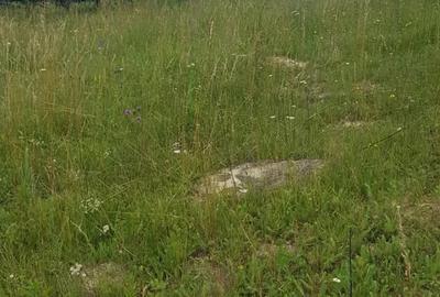 Teren de 3000 mp, în Feleacu