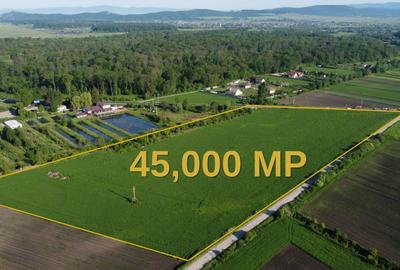 Teren Construcții intravilan de 45000 mp, în Prejmer - 4